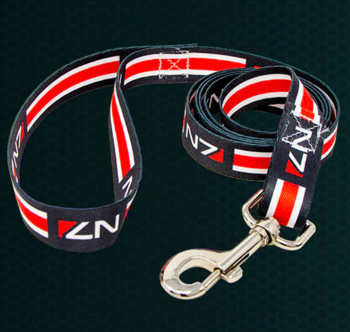 Collier pour chien N7